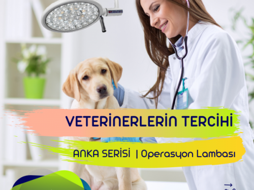  Veteriner Operasyon - Muayene Lambası ve...